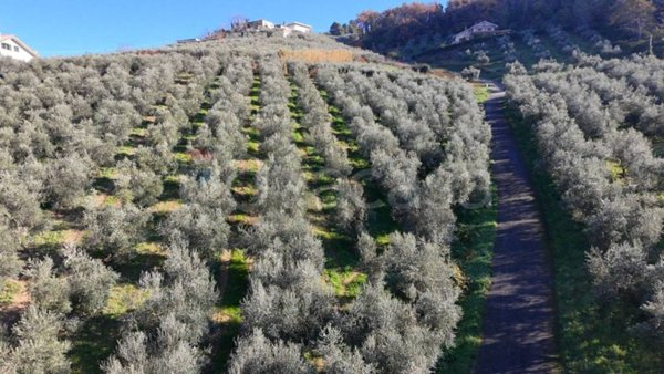 casa indipendente in vendita a Chieti in zona Centro Città