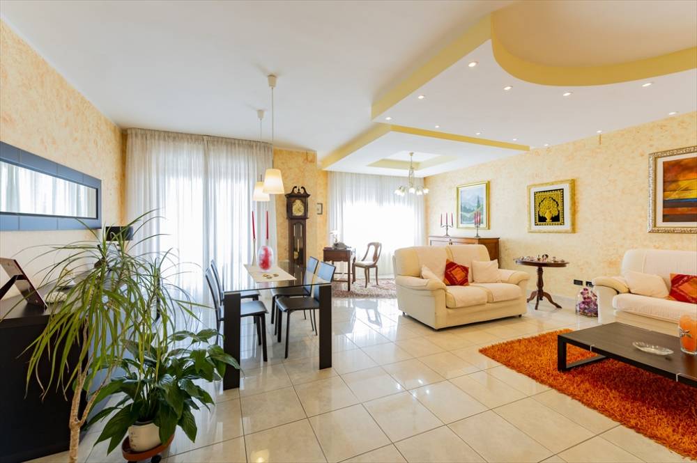 immagine annuncio 0 di 13