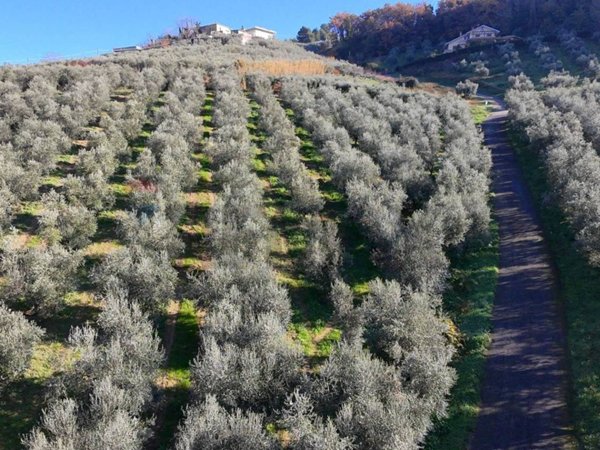 appartamento in vendita a Chieti in zona Centro Città