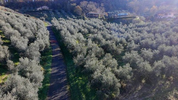 terreno agricolo in vendita a Chieti in zona Chieti Scalo