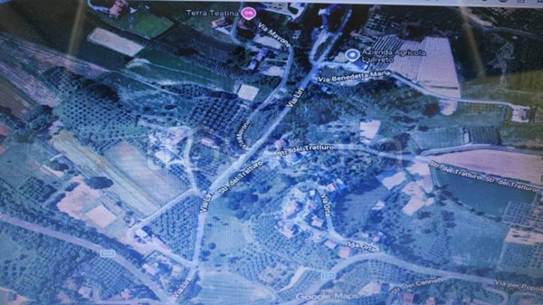 azienda agricola in vendita a Chieti