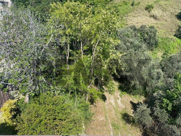 terreno agricolo in vendita a Chieti