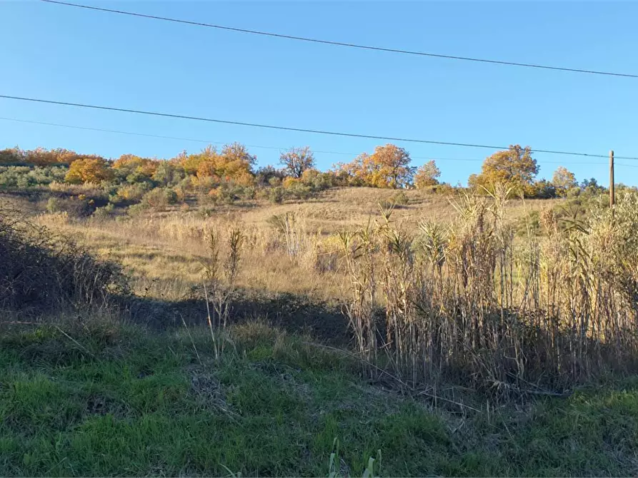 terreno agricolo in vendita a Civitella Messer Raimondo in zona Gallo
