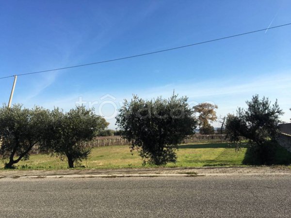 terreno agricolo in vendita a Crecchio