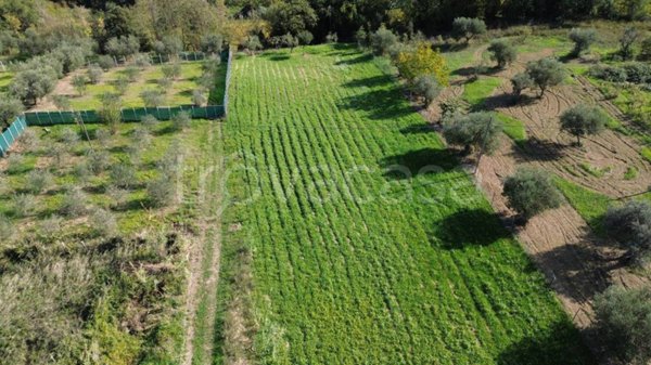 casa indipendente in vendita a Crecchio in zona Via Piana
