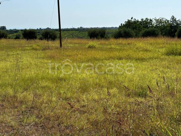 villetta a schiera in vendita a Crecchio
