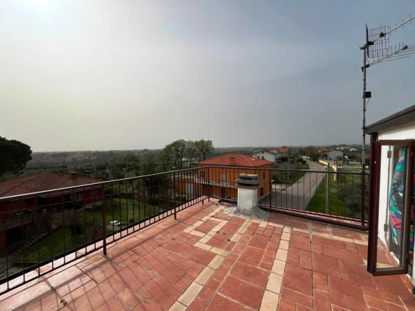 immagine annuncio 0 di 15