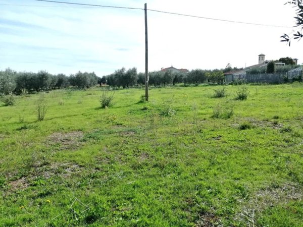 terreno edificabile in vendita a Crecchio