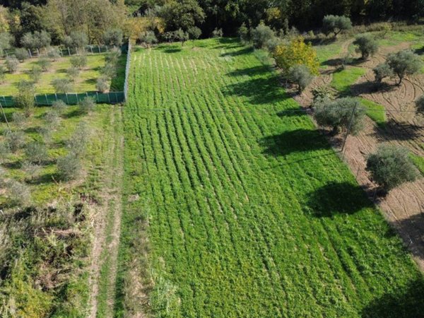villa in vendita a Crecchio