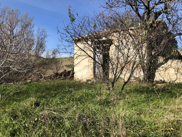 terreno agricolo in vendita a Cupello
