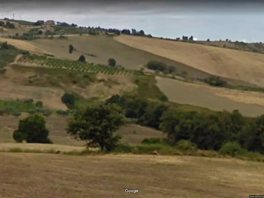 terreno agricolo in vendita a Cupello