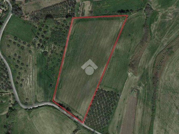 terreno agricolo in vendita a Cupello