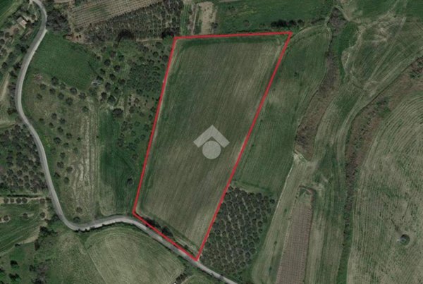 terreno agricolo in vendita a Cupello