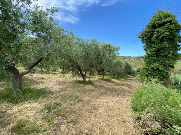 casa indipendente in vendita a Cupello