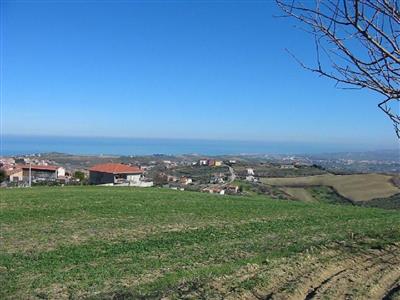 terreno agricolo in vendita a Cupello