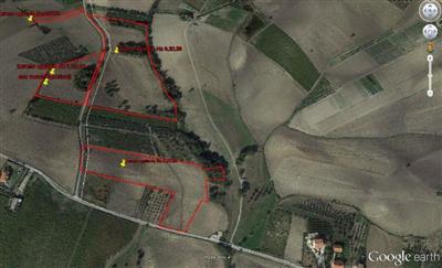 terreno agricolo in vendita a Cupello