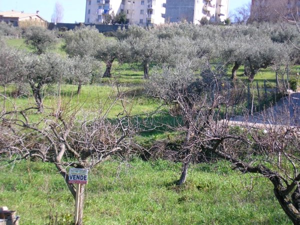 casa indipendente in vendita a Cupello
