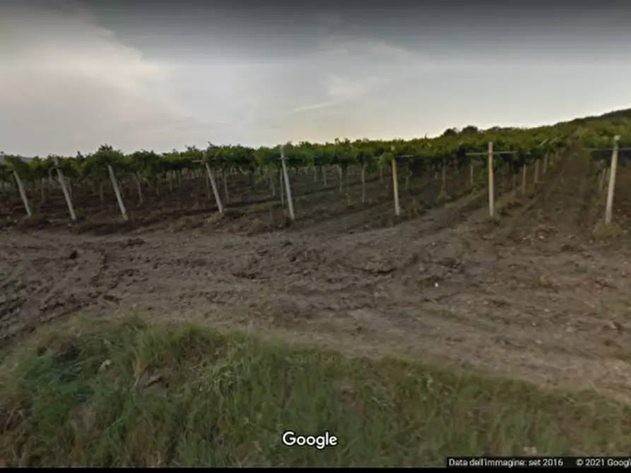 terreno agricolo in vendita a Cupello