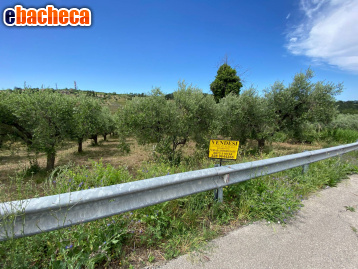 casa indipendente in vendita a Cupello