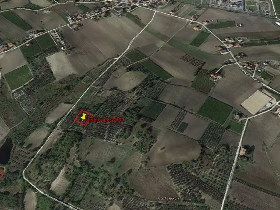 terreno agricolo in vendita a Cupello