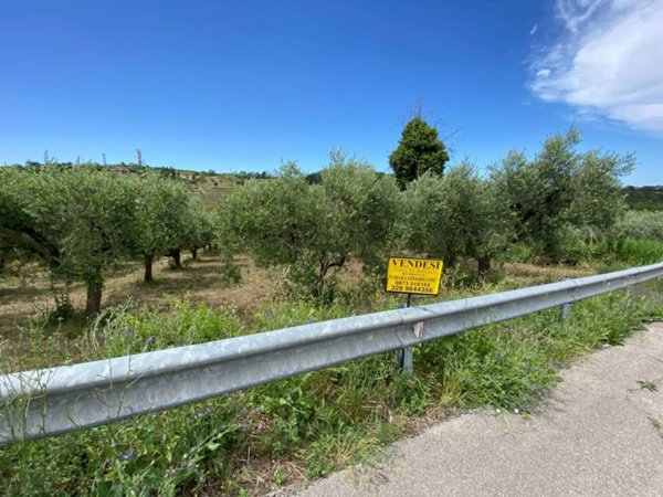 terreno agricolo in vendita a Cupello