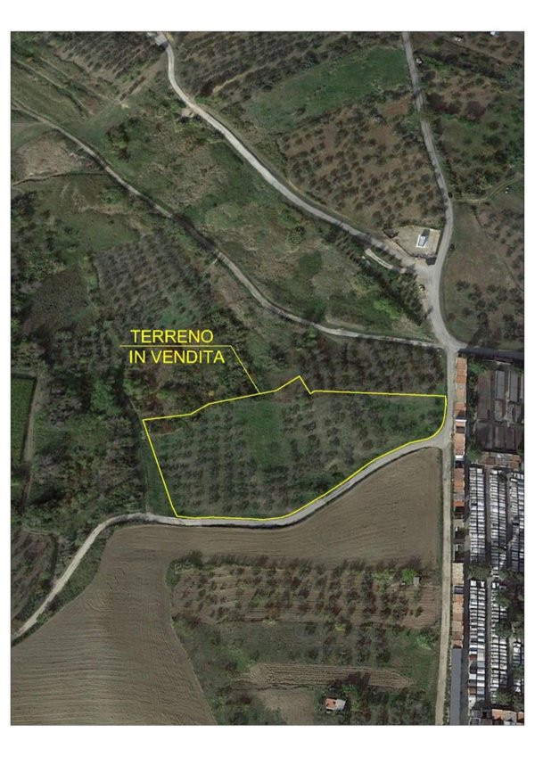 terreno agricolo in vendita a Cupello