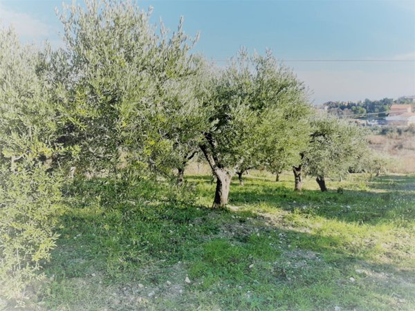 terreno edificabile in vendita a Cupello