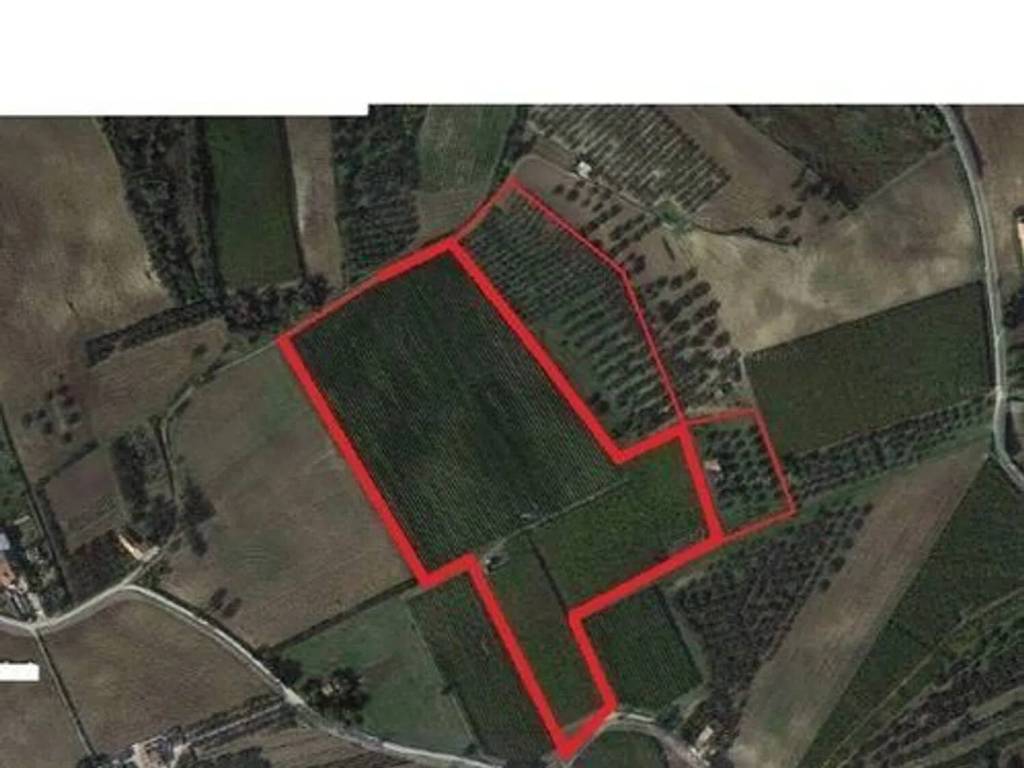 terreno agricolo in vendita a Cupello