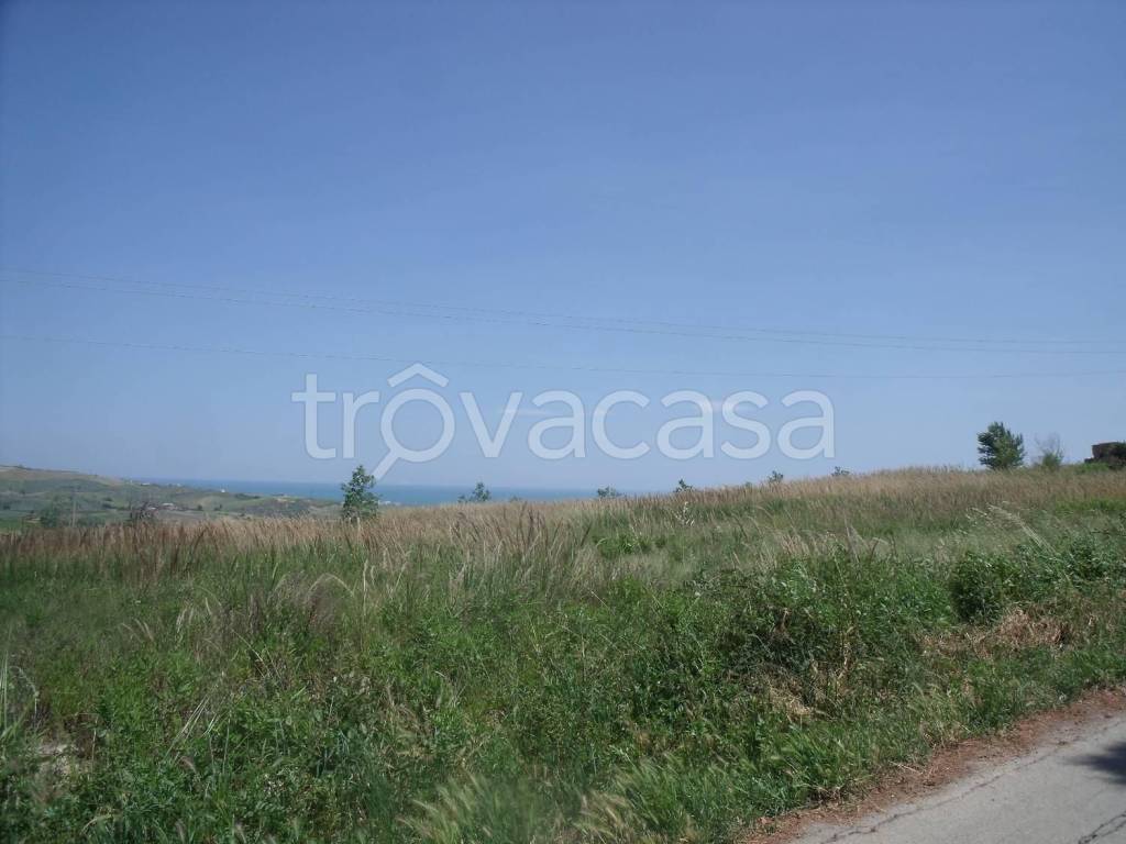 terreno agricolo in vendita a Cupello in zona Ributtini