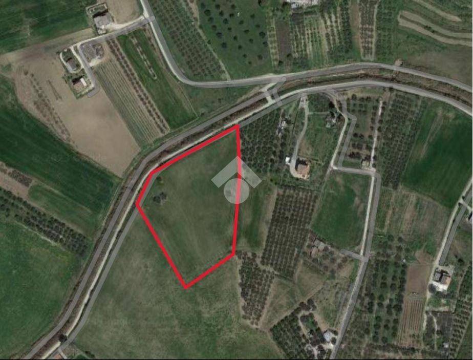 terreno agricolo in vendita a Cupello in zona Ributtini
