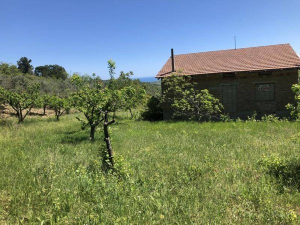 casa indipendente in vendita a Cupello