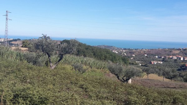 casa indipendente in vendita a Cupello