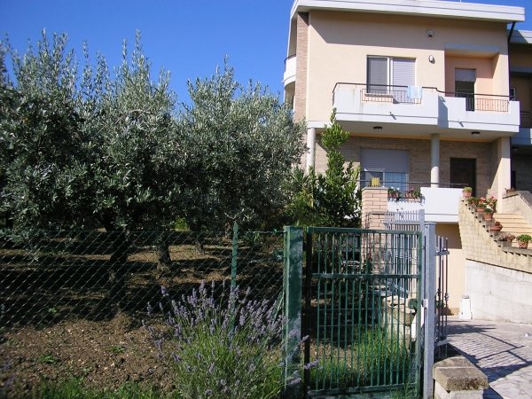 immagine annuncio 0 di 5