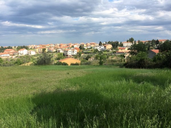 terreno agricolo in vendita a Cupello