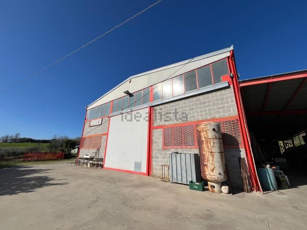 capannone in vendita a Cupello