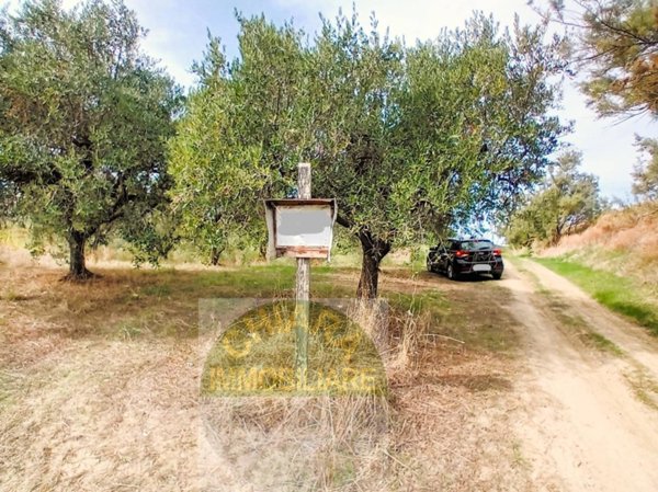 terreno agricolo in vendita a Cupello