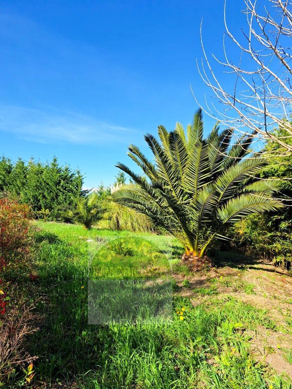terreno agricolo in vendita a Cupello