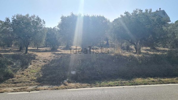 terreno edificabile in vendita a Cupello