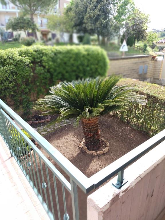 casa indipendente in vendita a Cupello