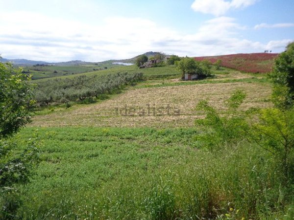 terreno agricolo in vendita a Cupello