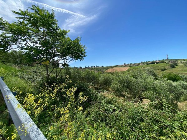 terreno agricolo in vendita a Cupello