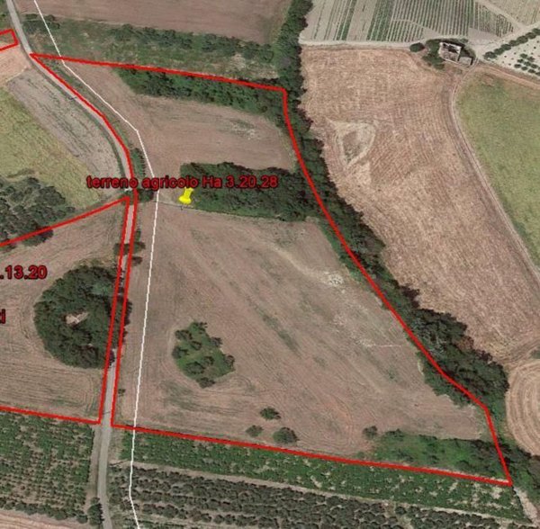 terreno agricolo in vendita a Cupello