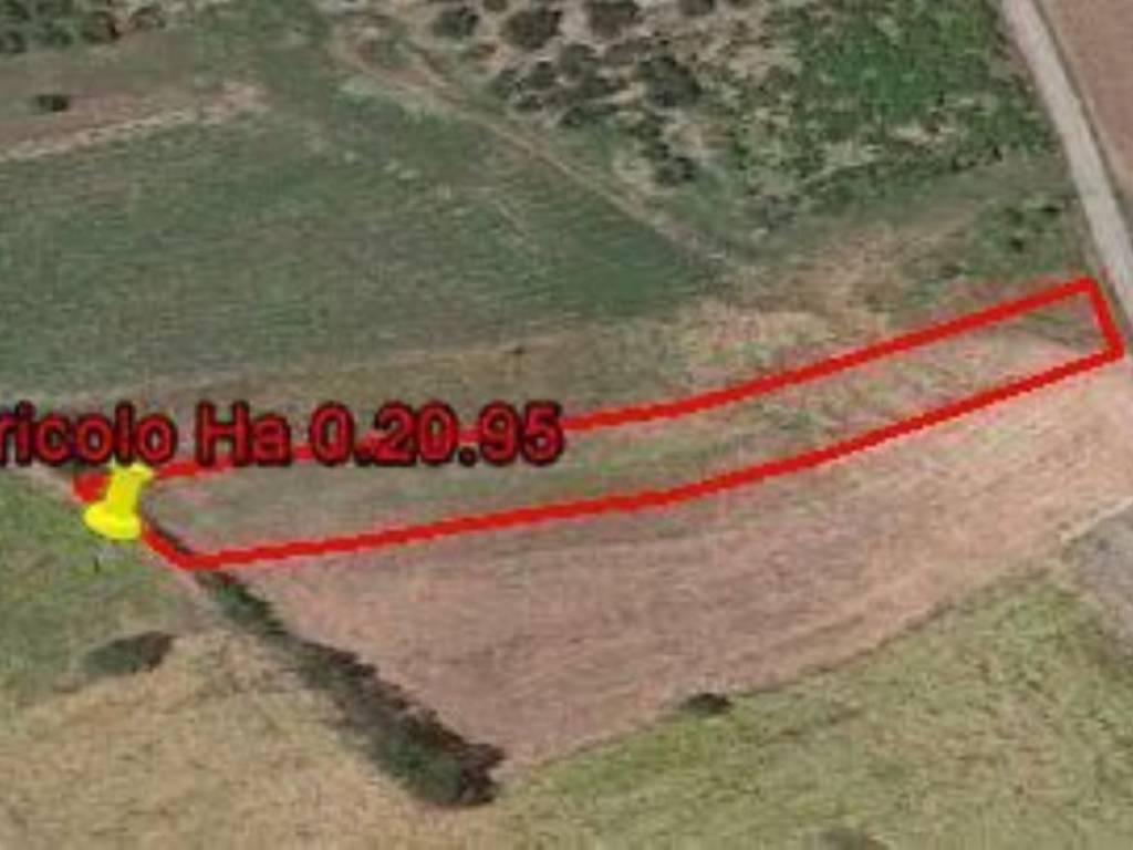 terreno agricolo in vendita a Cupello