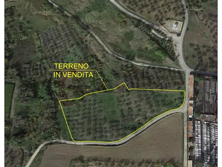 terreno agricolo in vendita a Cupello