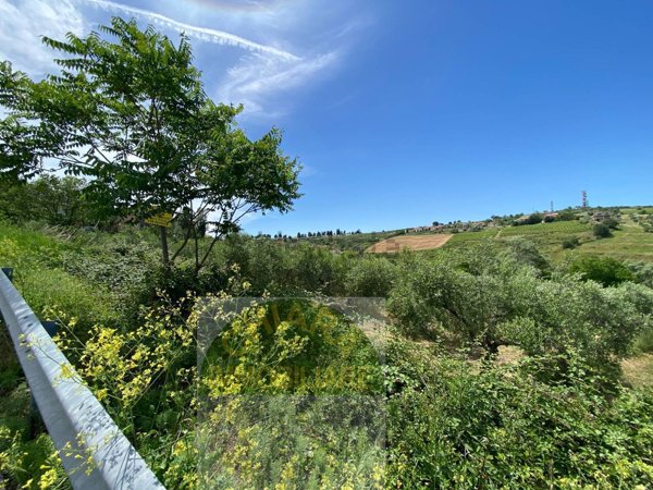 terreno agricolo in vendita a Cupello
