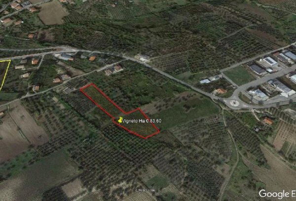 terreno agricolo in vendita a Cupello