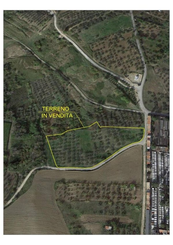 terreno agricolo in vendita a Cupello