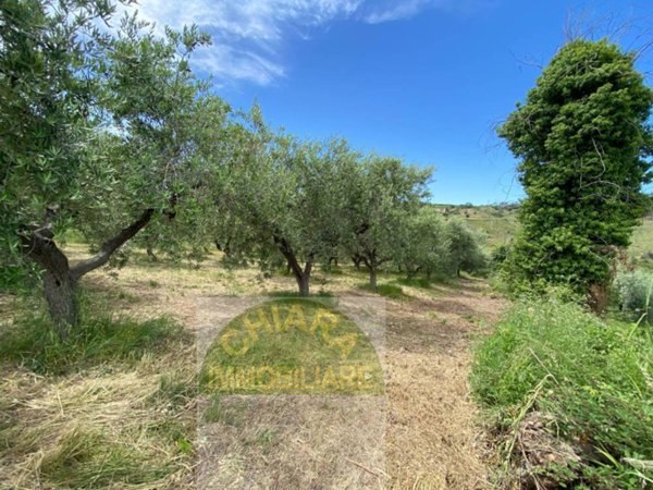 casa indipendente in vendita a Cupello