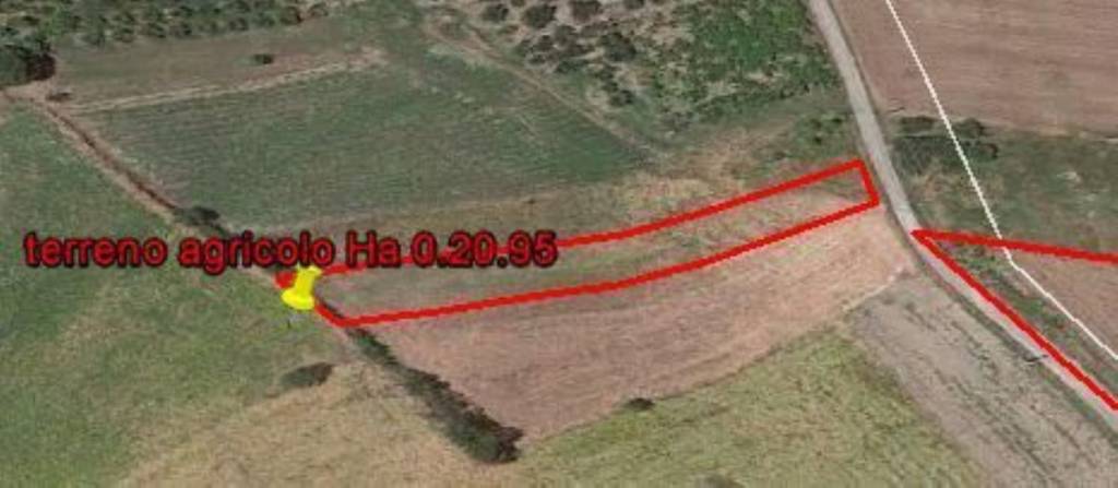 terreno agricolo in vendita a Cupello