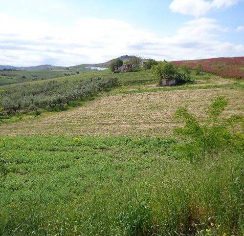 terreno agricolo in vendita a Cupello
